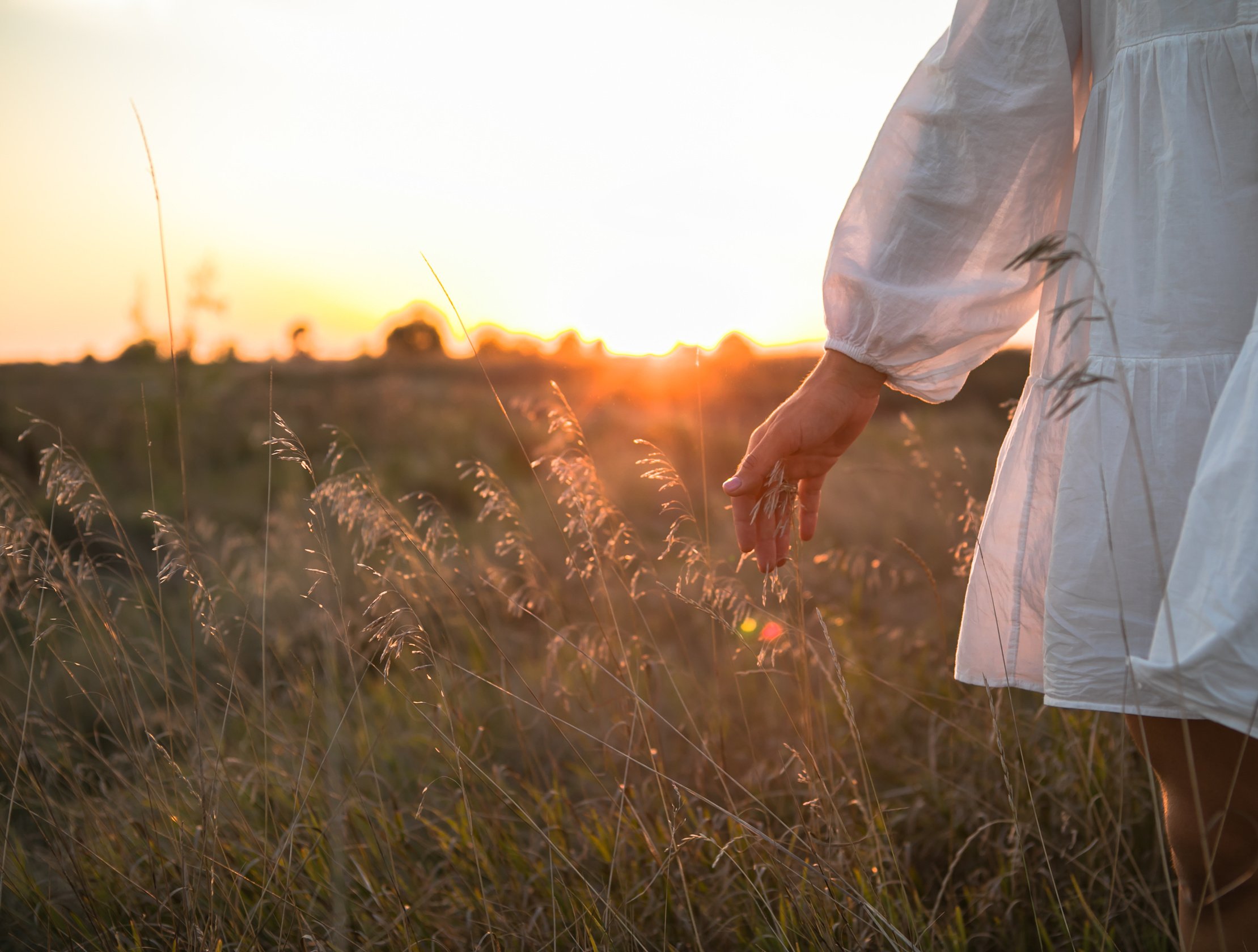 Woman  field in nature. Happy people lifestyle. Woman hand  field in nature.